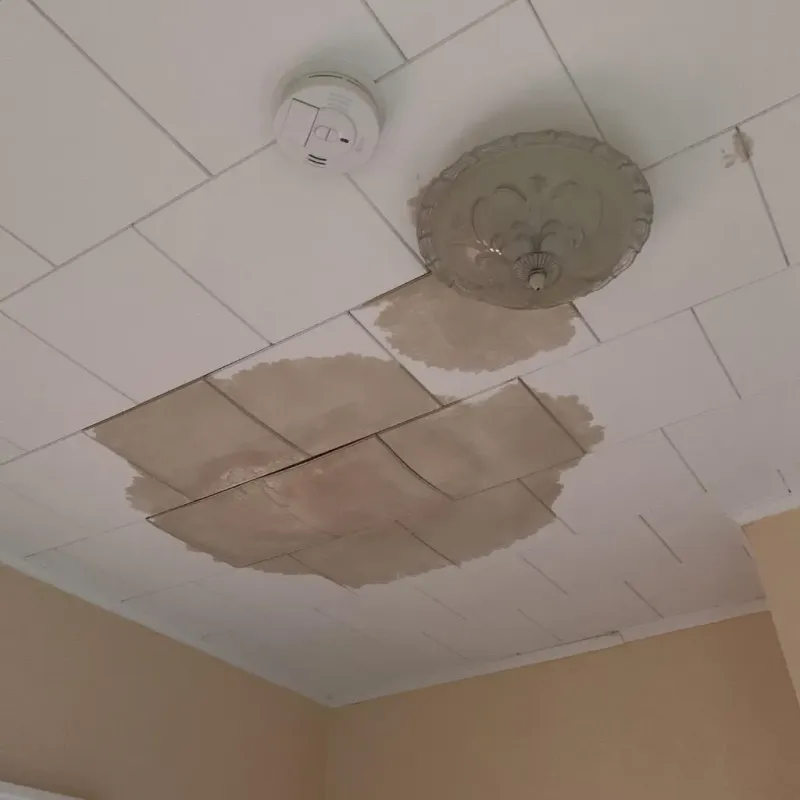 Ceiling Water Damage Repair in Shirley, MA