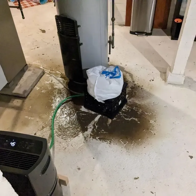 Sewage Backup Cleanup Service in Shirley, MA
